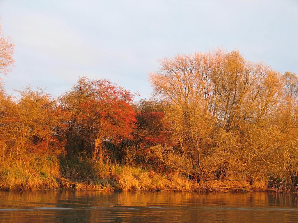 Bed And Breakfast De Biesbosch - In 'T Riet Drimmelen Exterior photo